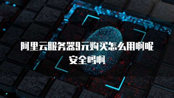 阿里云服务器9元购买怎么用啊呢安全吗啊