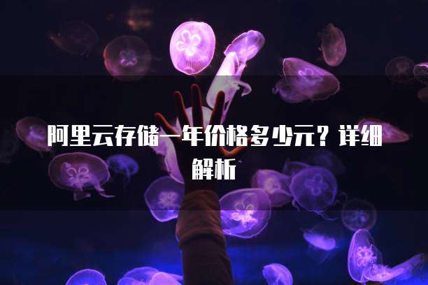 阿里云存储一年价格多少元?详细解析