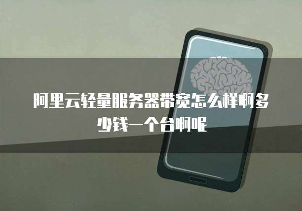 阿里云轻量服务器带宽怎么样啊多少钱一个台啊呢