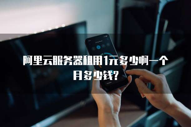 阿里云服务器租用1元多少啊一个月多少钱?