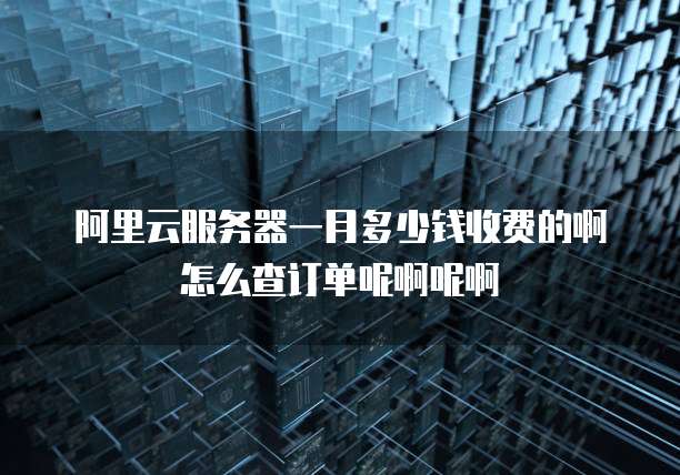 阿里云服务器一月多少钱收费的啊怎么查订单呢啊呢啊