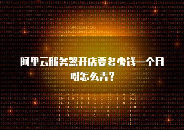 阿里云服务器开店要多少钱一个月呀怎么弄?