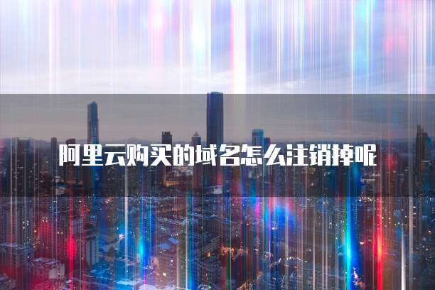 阿里云购买的域名怎么注销掉呢