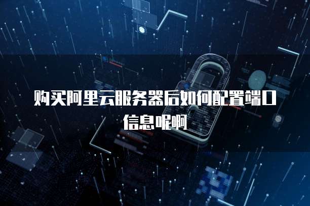 购买阿里云服务器后如何配置端口信息呢啊