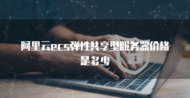阿里云ecs弹性共享型服务器价格是多少