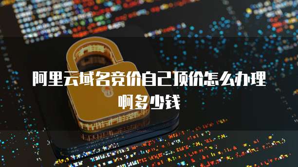 阿里云域名竞价自己顶价怎么办理啊多少钱