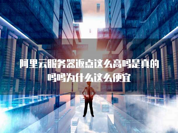 阿里云服务器返点这么高吗是真的吗吗为什么这么便宜
