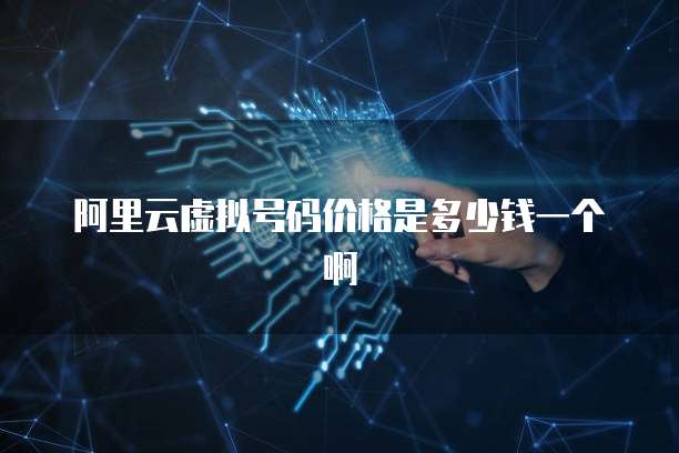阿里云虚拟号码价格是多少钱一个啊