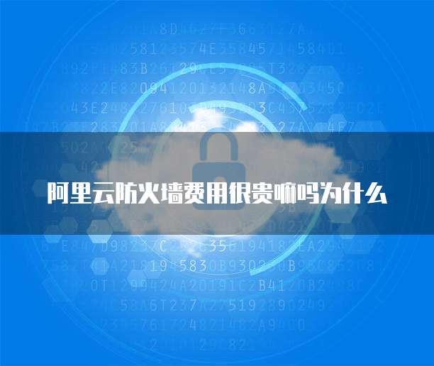 阿里云防火墙费用很贵嘛吗为什么