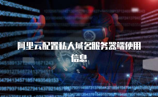 阿里云配置私人域名服务器端使用信息
