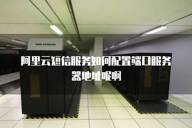阿里云短信服务如何配置端口服务器地址呢啊