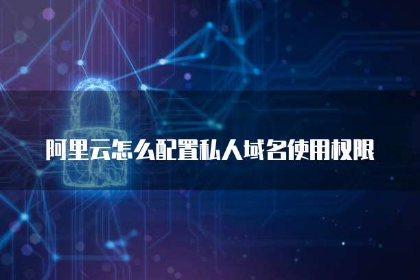 阿里云怎么配置私人域名使用权限