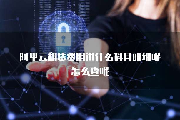 阿里云租赁费用进什么科目明细呢怎么查呢