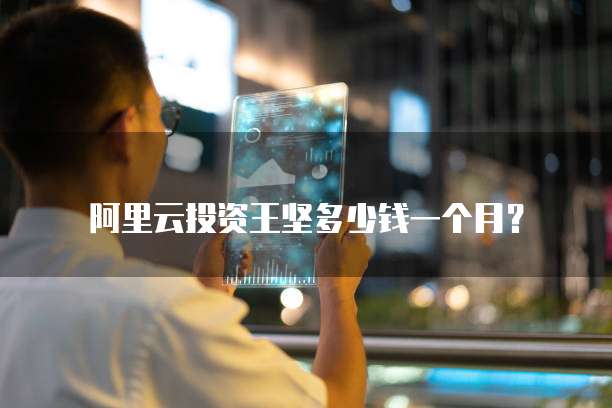 阿里云投资王坚多少钱一个月?