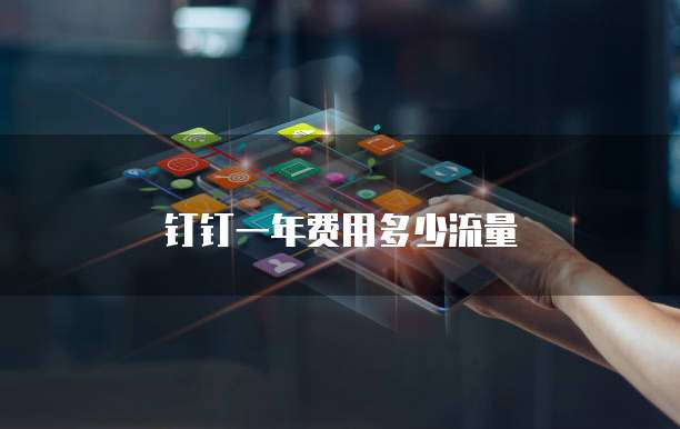 钉钉一年费用多少流量