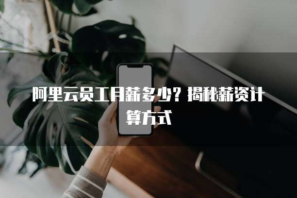 阿里云员工月薪多少?揭秘薪资计算方式
