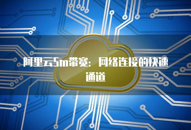 阿里云5m带宽：网络连接的快速通道