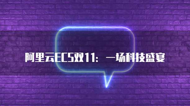 阿里云ECS双11:一场科技盛宴