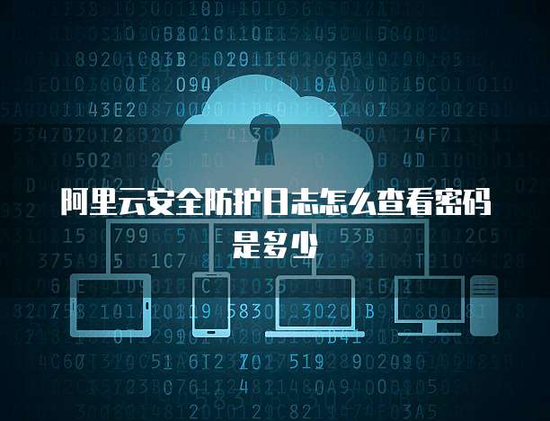 阿里云安全防护日志怎么查看密码是多少