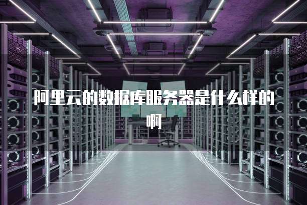 阿里云的数据库服务器是什么样的啊