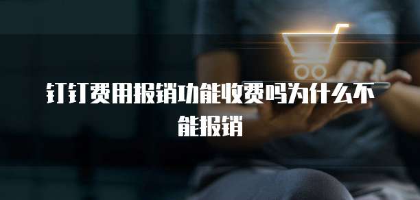 钉钉费用报销功能收费吗为什么不能报销