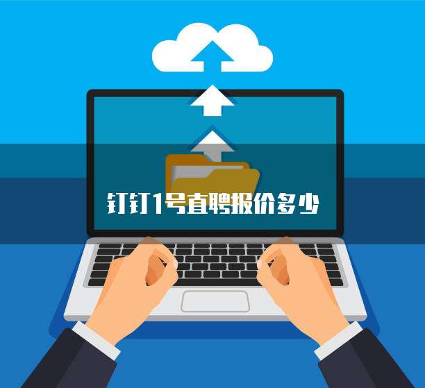 钉钉1号直聘报价多少