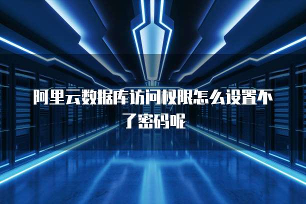 阿里云数据库访问权限怎么设置不了密码呢