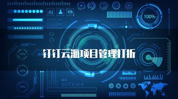 钉钉云派项目管理打折