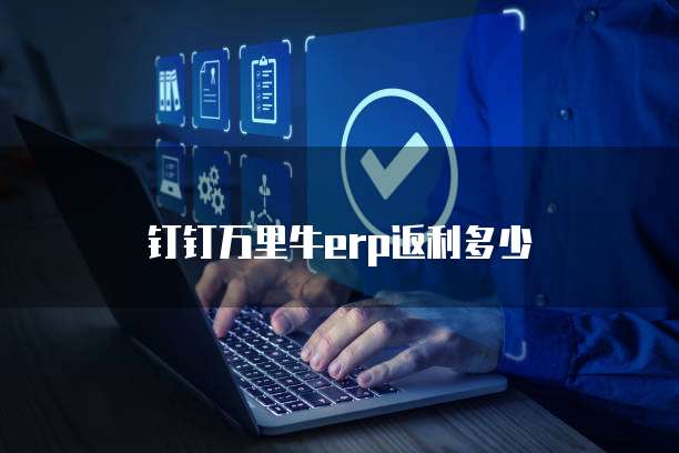钉钉万里牛erp返利多少