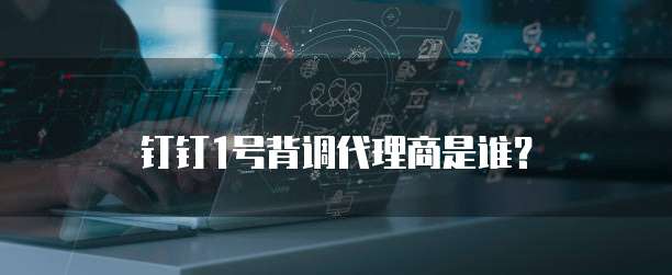 钉钉1号背调代理商是谁?
