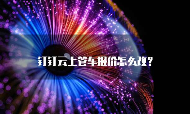 钉钉云上管车报价怎么改?