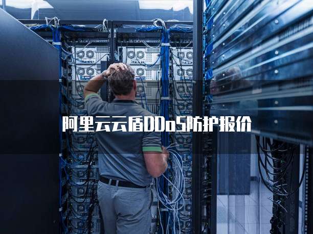 阿里云云盾DDoS防护报价