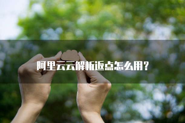 阿里云云解析返点怎么用?