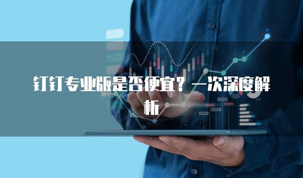 钉钉专业版是否便宜?一次深度解析