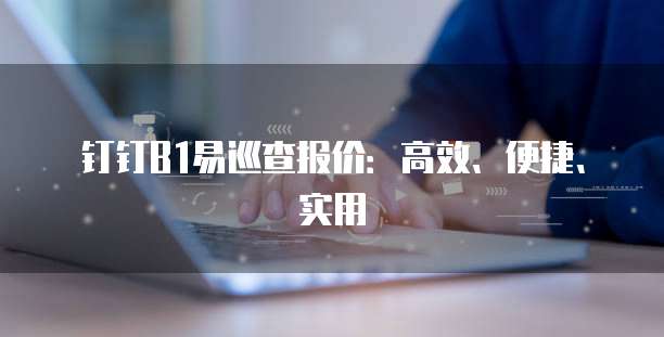 钉钉B1易巡查报价:高效、便捷、实用