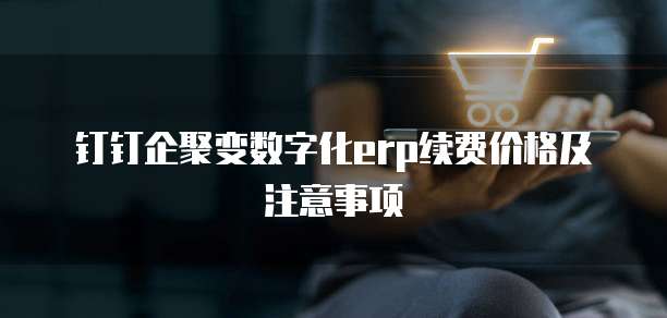 钉钉企聚变数字化erp续费价格及注意事项