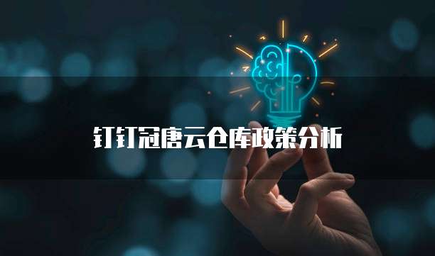 钉钉冠唐云仓库政策分析