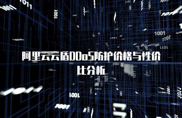 阿里云云盾DDoS防护价格与性价比分析