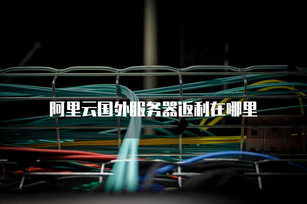 阿里云国外服务器返利在哪里