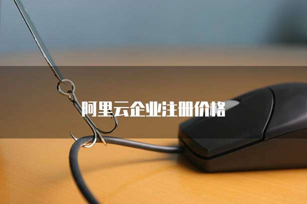 阿里云企业注册价格