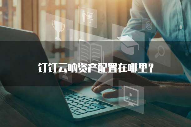钉钉云呐资产配置在哪里?