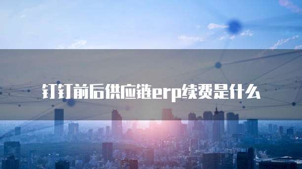 钉钉前后供应链erp续费是什么