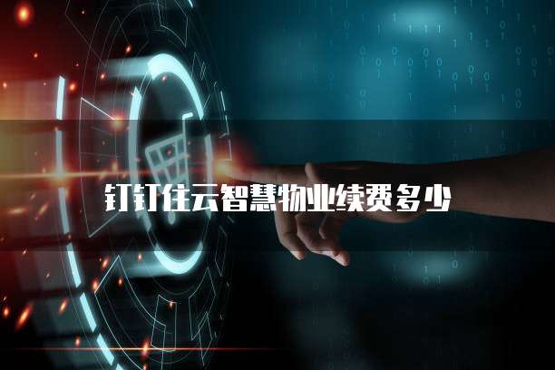 钉钉住云智慧物业续费多少