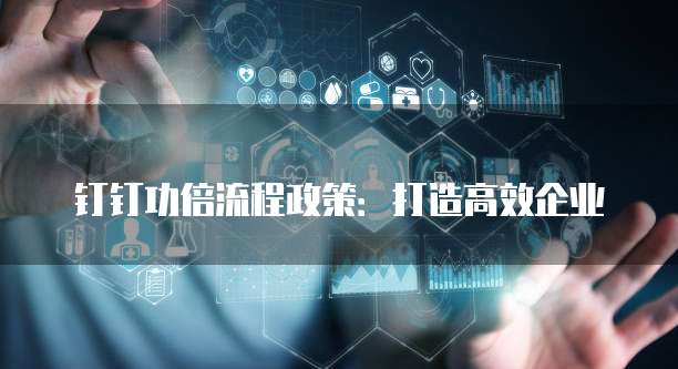 钉钉功倍流程政策:打造高效企业