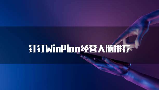 钉钉WinPlan经营大脑推荐