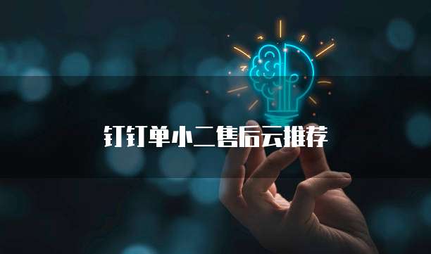 钉钉单小二售后云推荐