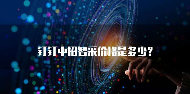 钉钉中招智采价格是多少？