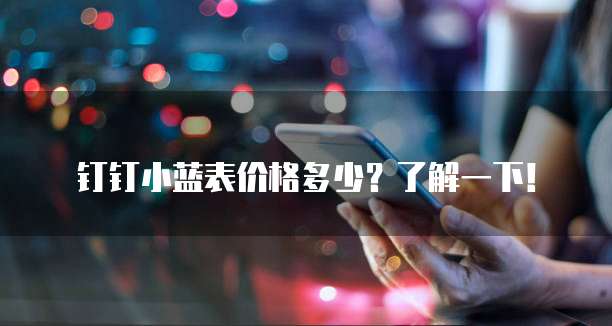 钉钉小蓝表价格多少？了解一下！