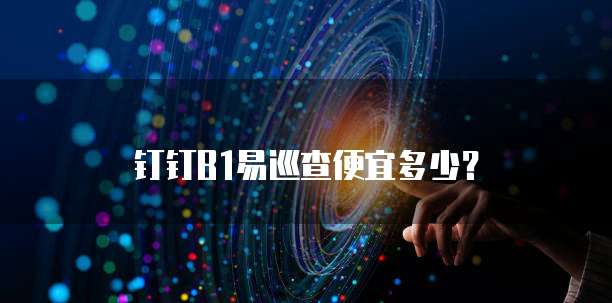 钉钉B1易巡查便宜多少?