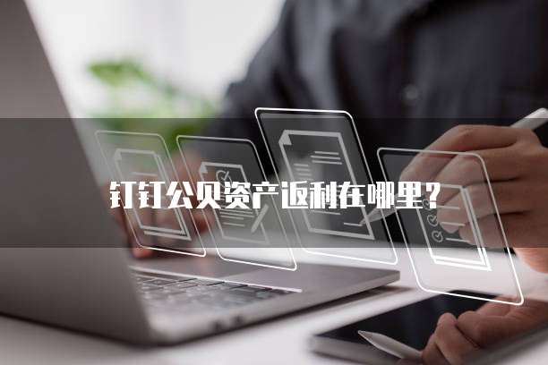 钉钉公贝资产返利在哪里?
